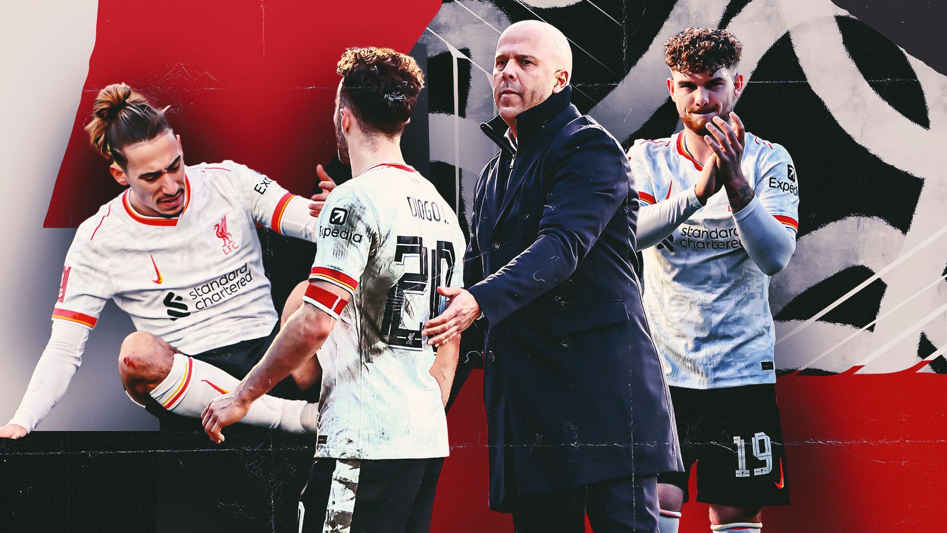 入了新的活 入了新的活